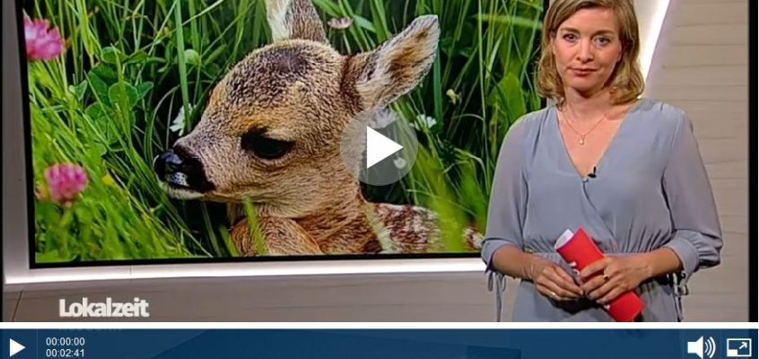 WDR Lokalzeit 29.05.2017: Drohne zur Kitzrettung